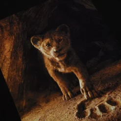 Solde Disney // Disney Store T-shirt Le Roi Lion Pour Adultes -Boutique De Déguisements solde disney disney store t shirt le roi lion pour adultes 33